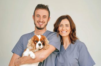 Specialists Rob Adams and Julie Kavanagh have joined the growing team at Paragon Veterinary Referrals.