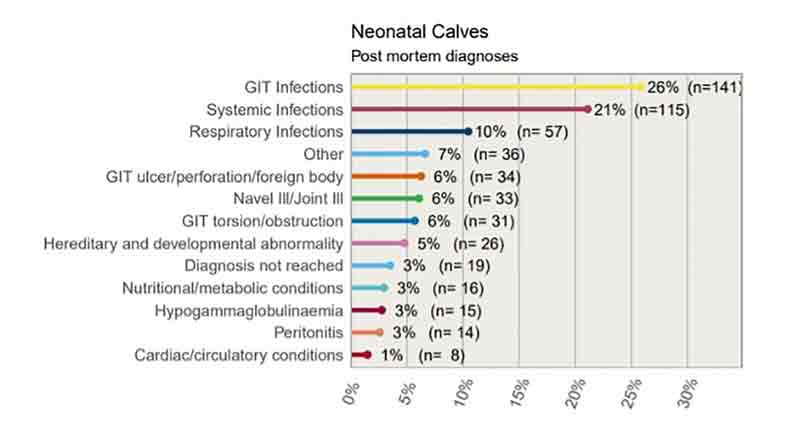 Figure 1. Cause of death (2021) of neonates one day to 30 days old (from All Island Animal Disease Surveillance Report 2020; Agri-Food and Biosciences Institute, 2022).