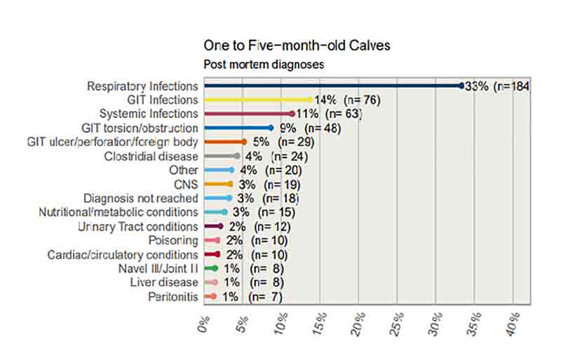 Figure 2. Cause of death (2021) of calves one month to five months old (from All Island Animal Disease Surveillance Report 2020; Agri-Food and Biosciences Institute, 2022).