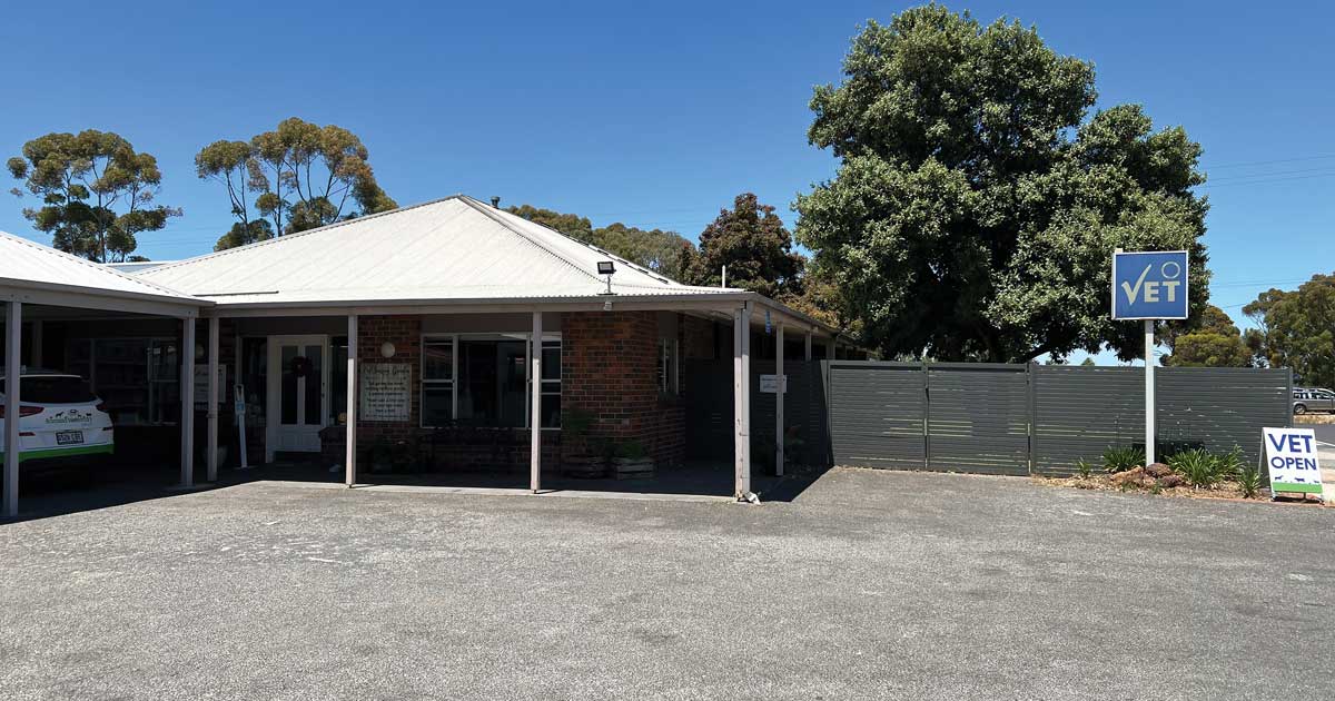 Vet that comes to house best sale near me