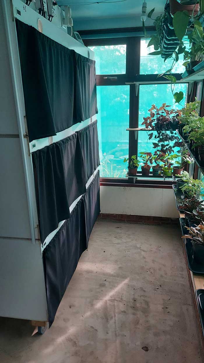 Vivarium curtains