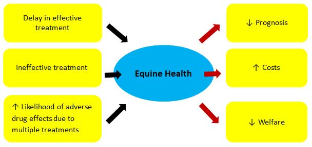 Figure 1. Potential impacts of antimicrobial drug resistance in equine practice.
