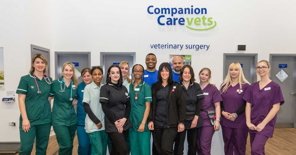 Pets at home waddon deals vets