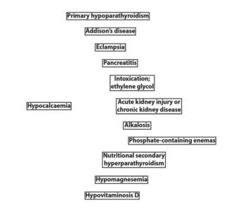 Figure 3. Other causes of hypocalcaemia should be considered before making a diagnosis.