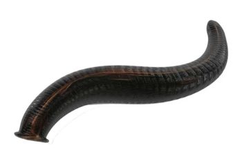 leech Image: 3drenderings / Adobe Stock