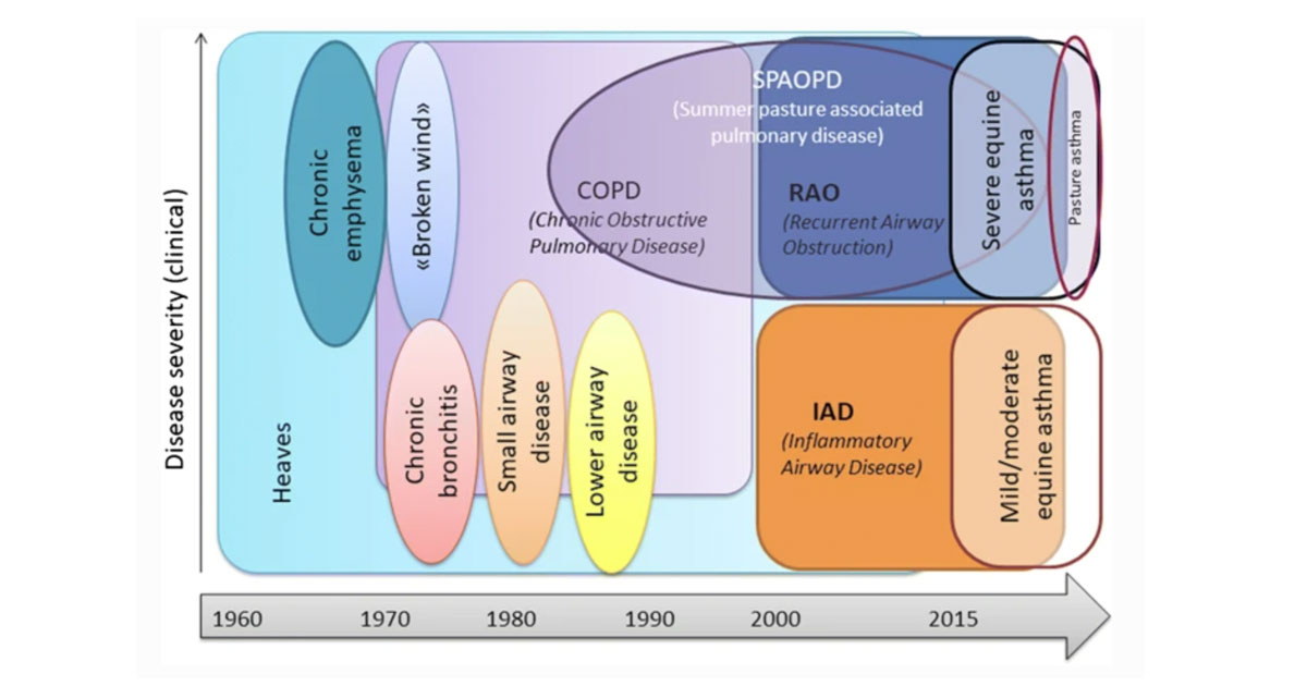 Figure 1. Terminology used to describe asthma-like disease affecting adult horses17.