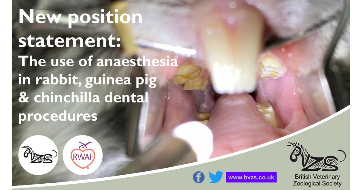 Take Home Lessons On cost of composite fillings