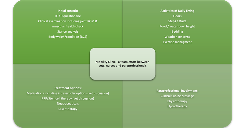 Figure 4. Mobility clinics are a team effort and often met with a positive response from clients.