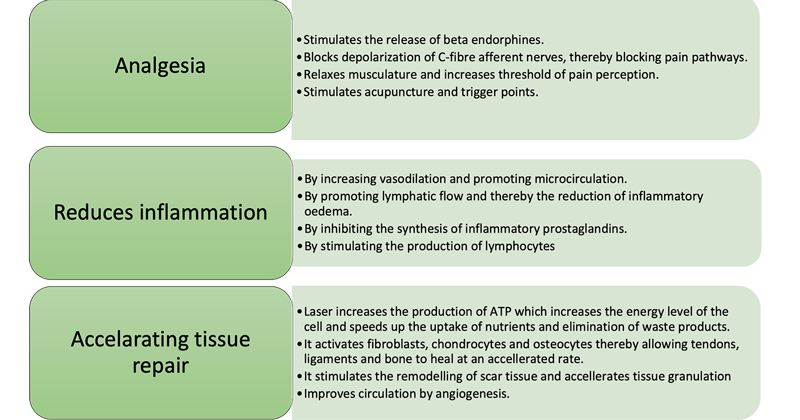 Figure 5. A summary of the biological effects of laser therapy.