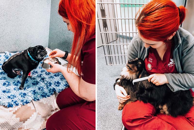 Figure 2 (left). Hand-feeding chicken to a spinal patient. Figure 3. Brushing a spinal patient.