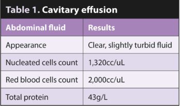 Table 1. Cavitary effusion