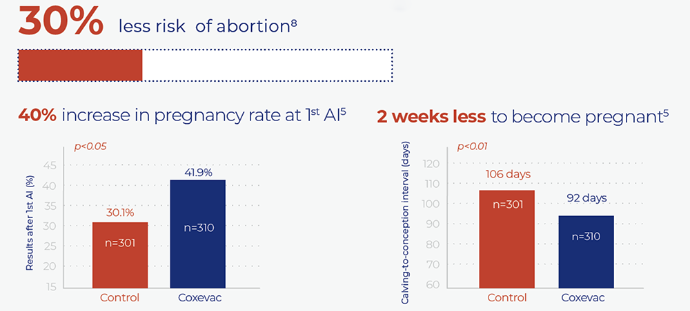 Figure 7. Impact of Ceva Coxevac vaccination on reproductive losses (Lopez Helguera et al, 2014).