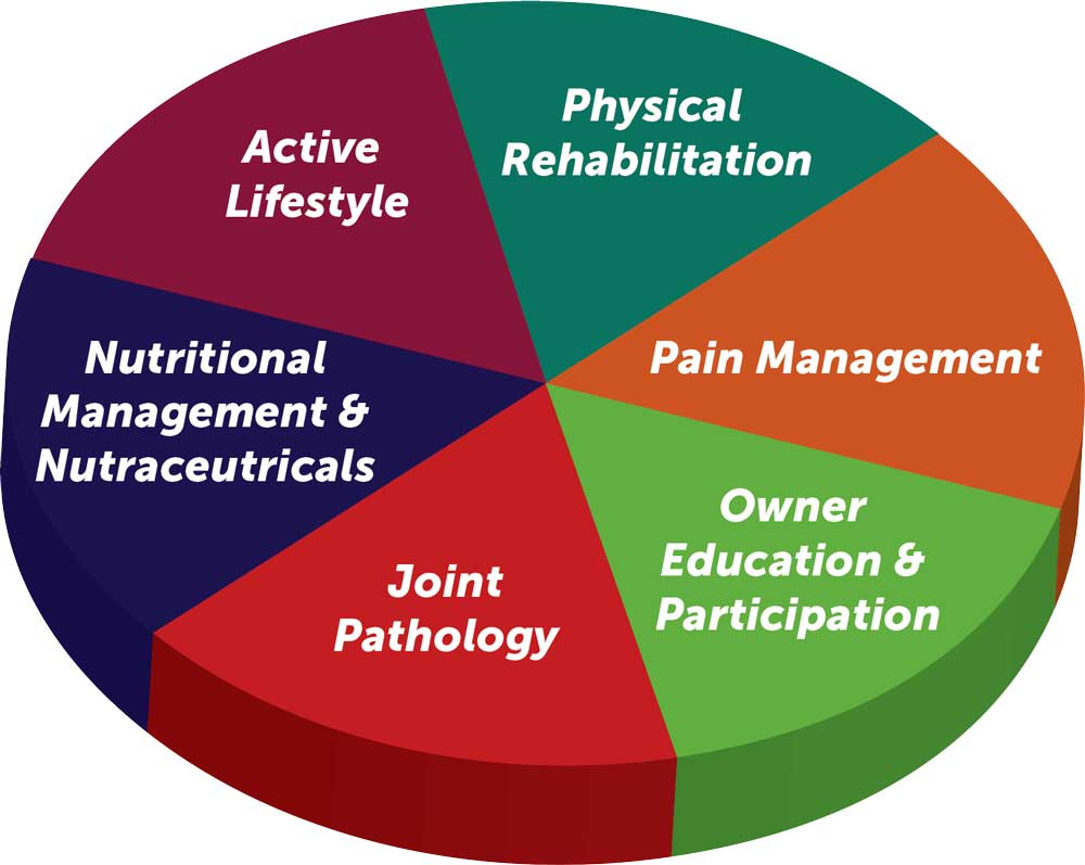 Figure 1. A diagram outlining the key strategic components of effective OA management (modified from Palmer and Churchill, 2019).