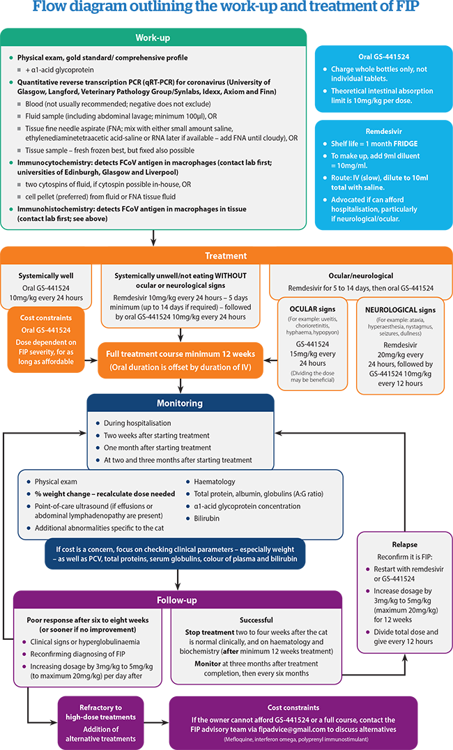 FIP flow chart