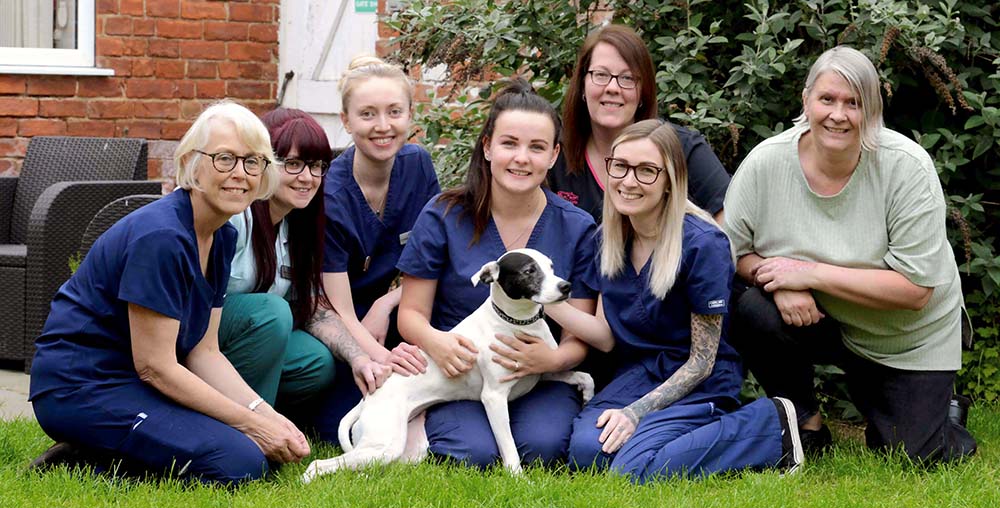 Vet Jo Patrick (left) with colleagues at Eastfield Vets who helped care for Tilly after her ordeal, and Tilly’s owner Jenny Harrand (right). Image © Eastfield Vets