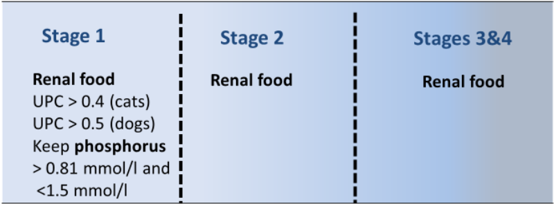 Recommendations for renal diet (adapted from the International Renal Interest Society).