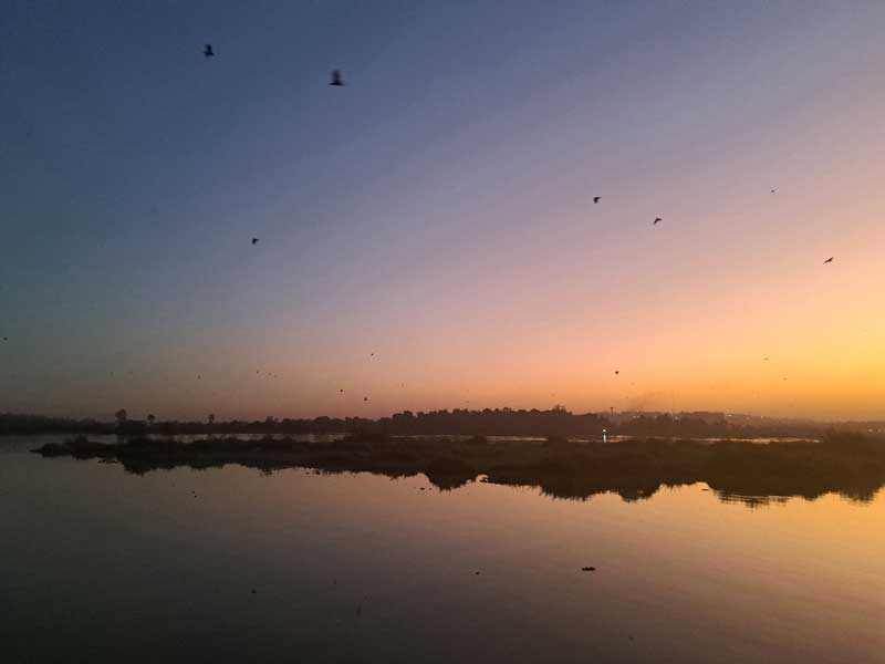 The River Niger, where large fruit bats were flying east at dusk to feed. This was a spectacular event to witness as tens of thousands moved from the mountainous region to the fruit trees every evening.