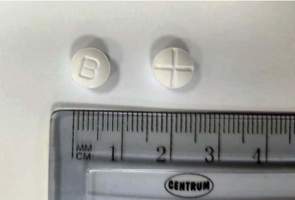 Figure 2. GS-441524 tablets (50mg), beef flavoured and scored in quarters.