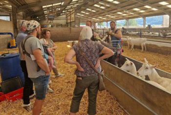 Delegates visit a nearby goat dairy until on the first day of the event.