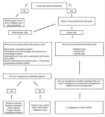 Figure 1. Flow chart on cytology sample approach.