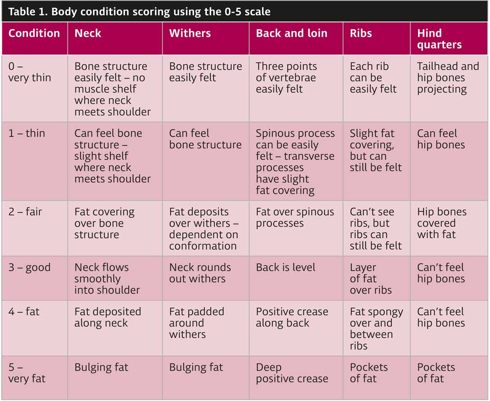 Table 1. Body condition scoring using the 0-5 scale