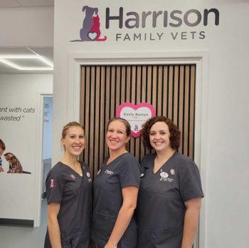 Bekka Barrass, Cate Titterton and Emily Burton from Harrison Family Vets in Stockton.