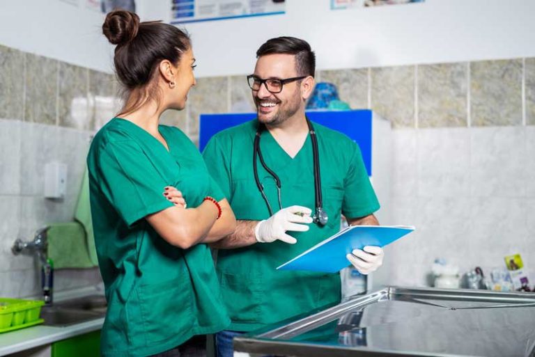 Surge in vets and nurses predicted over subsequent 10 years