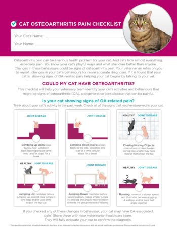 Figure 1. Cat OA checklist