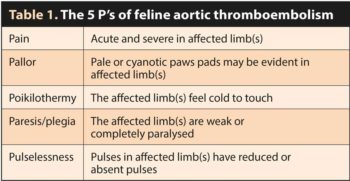 Table 1. The 5 Ps of feline aortic thromboembolism