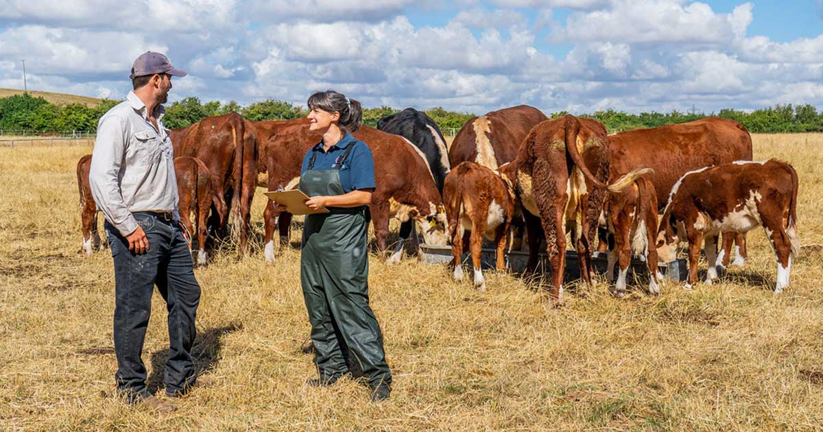 The author discussing key health issues with a farmer.