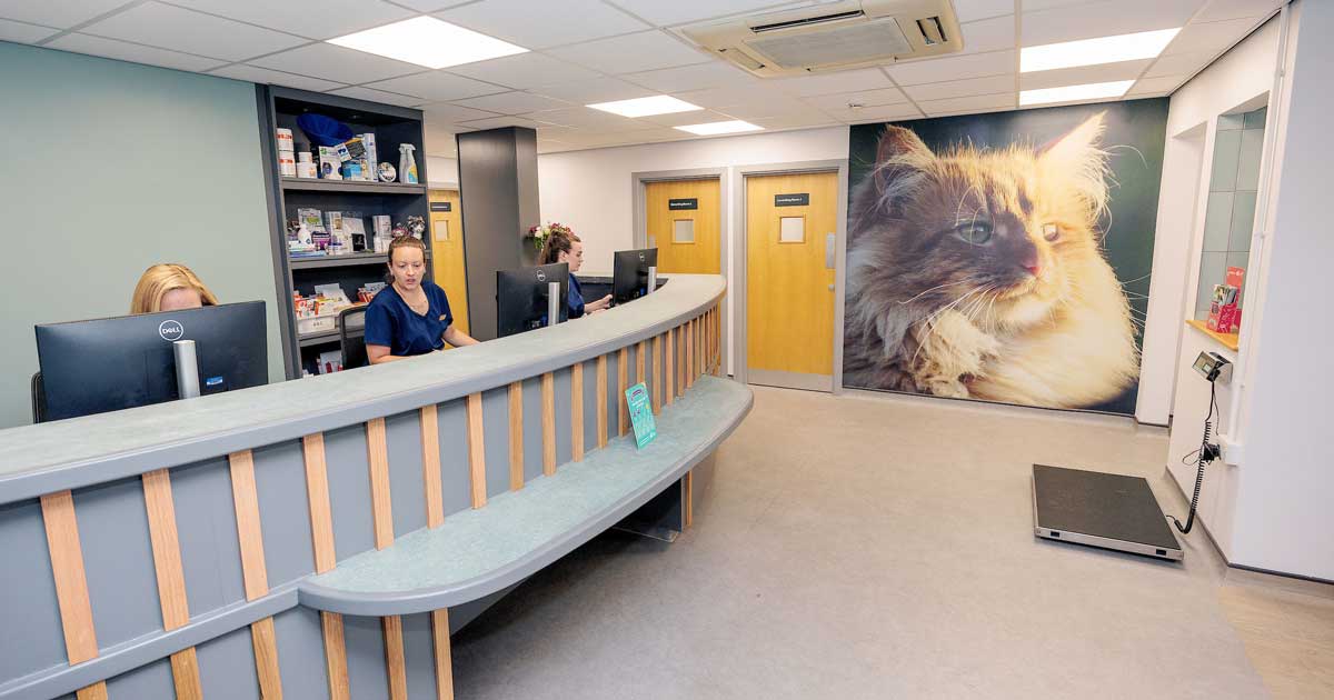 Mills shop veterinary clinic