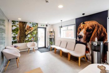 The new-look waiting areas.