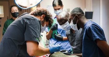 Gilbert Gyebi (left) and Samuel Asumah have received training in the UK due to a partnership involving Wildlife Vets International, West African Primate Conservation Action and VetCT.