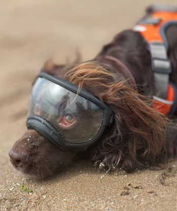 Olive in her high-tech protective goggles.