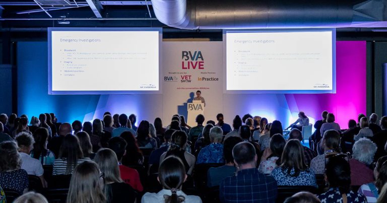 Contextualised care focus for BVA Stay 2024