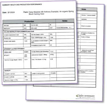 An example of a data template.