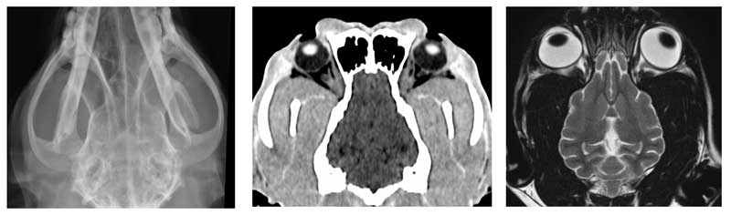 Figure 3. Comparative skull x-ray, CT and MRI scans.