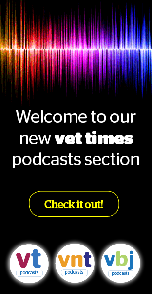 Pets At Home High Resolution Stock Photography And Images Alamy