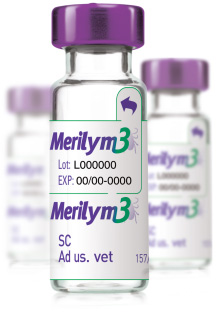Merial launches UK&#39;s first Lyme disease vaccine | Vet Times