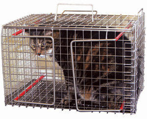 mdc cat carrier